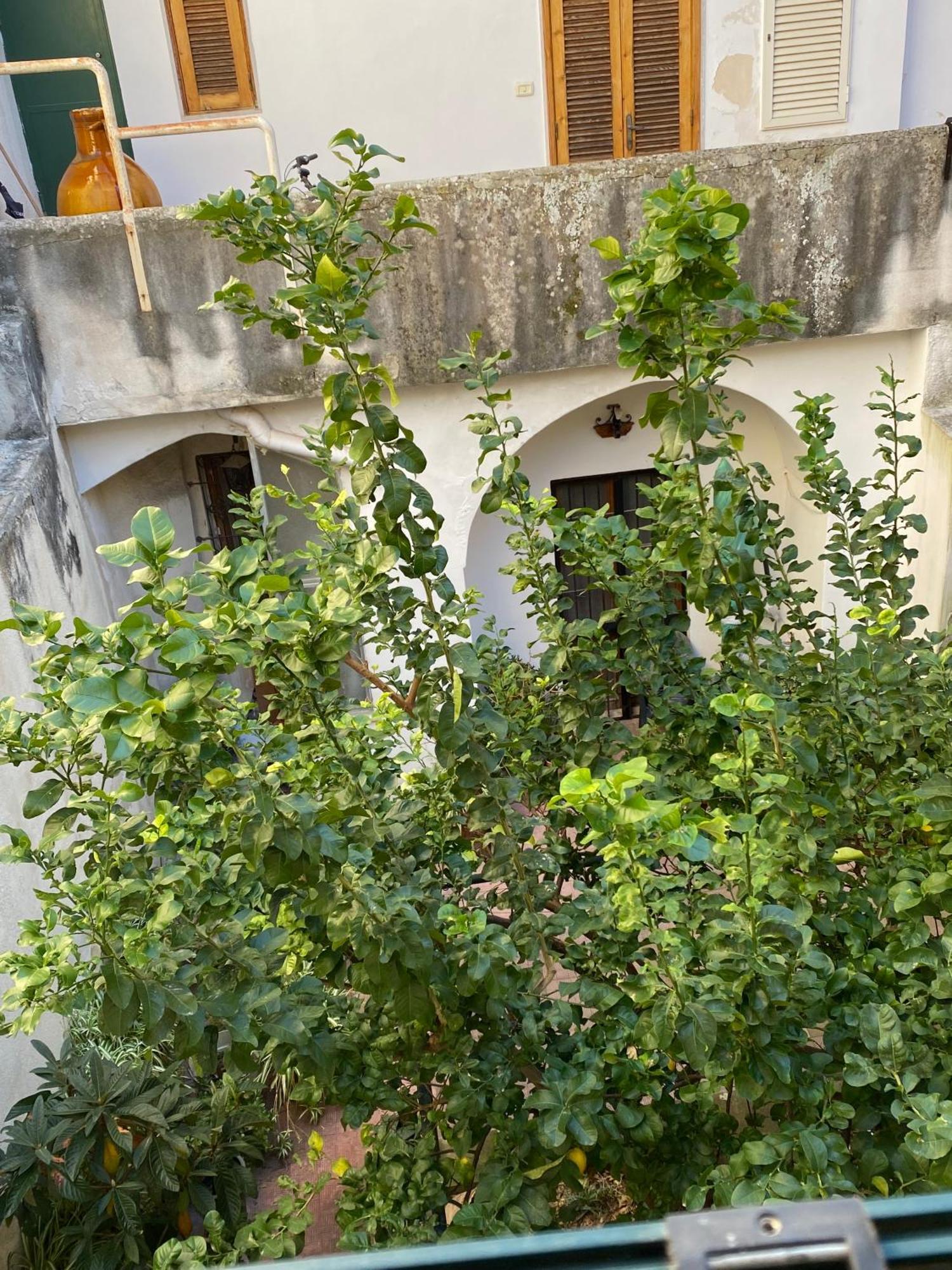 Casetta Zia Tetti Lecce Dış mekan fotoğraf